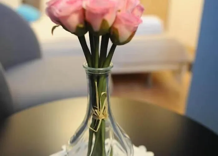 Bed & Breakfast Dom Casimi